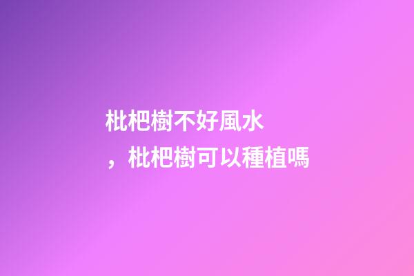 枇杷樹不好風水，枇杷樹可以種植嗎